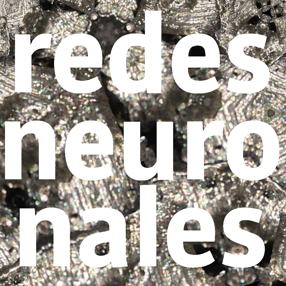 redes neuronales