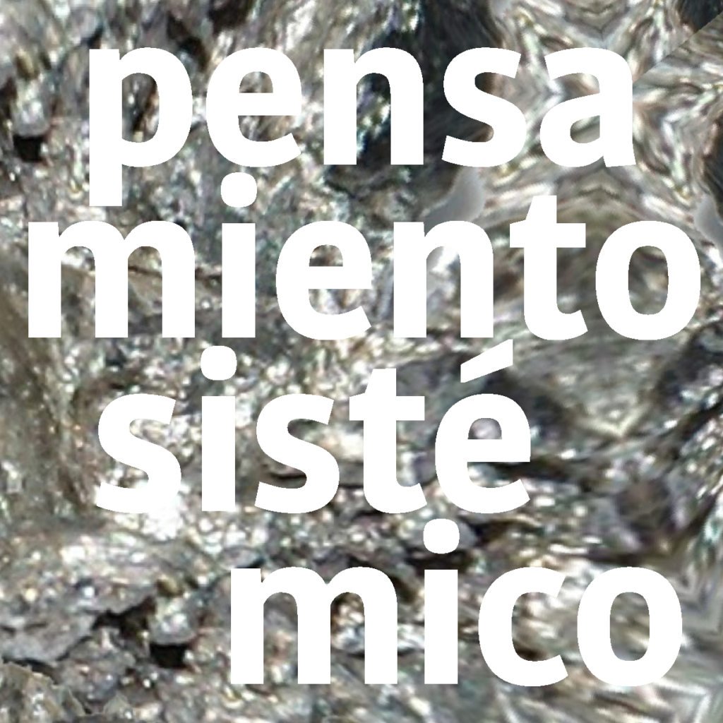 pensamiento sistémico